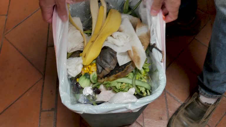 Best Yard Waste Removal  in Simpsonville, SC